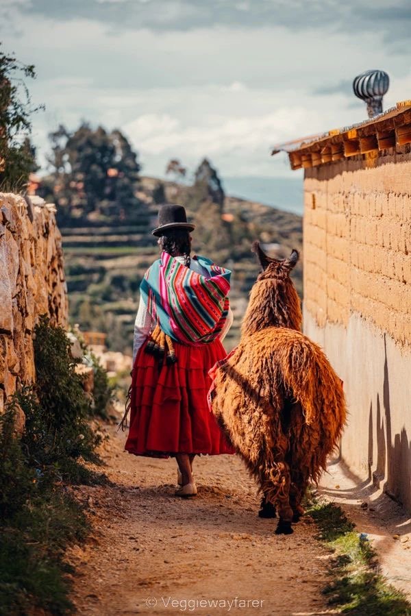 bolivia grupal 🇧🇴 febrero 2027 bolivia grupal 🇧🇴 febrero 2027