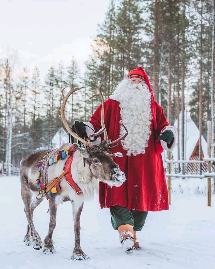polo norte & papá noel — finlandia enero 2027 🇫🇮 polo norte & papá noel — finlandia enero 2027 🇫🇮