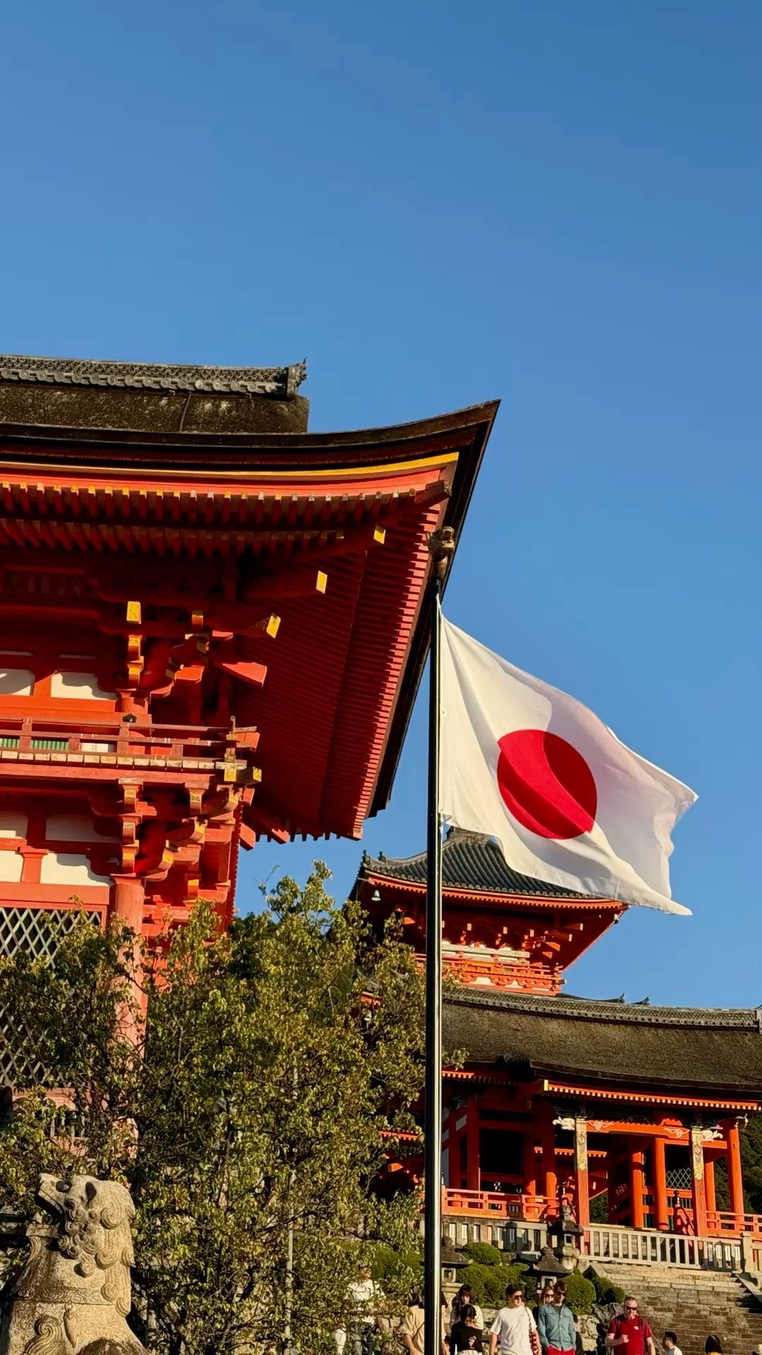 japÓn: entre tradiciÓn y futuro viaje grupal 🇯🇵 octubre 2027 japÓn: entre tradiciÓn y futuro viaje grupal 🇯🇵 octubre 2027